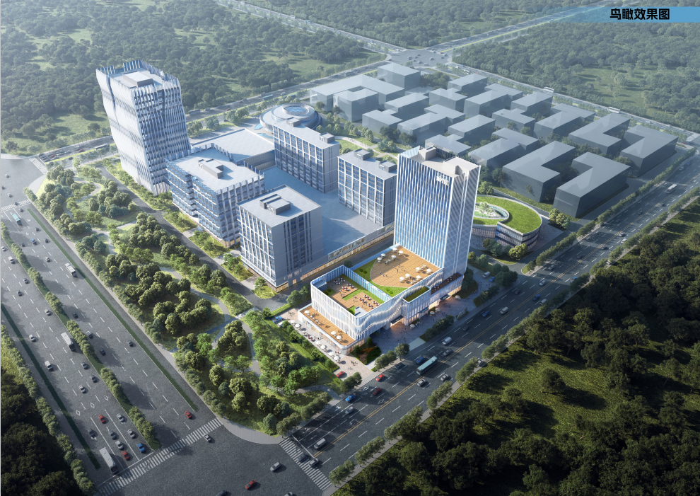 中原医科城树兰大厦项目